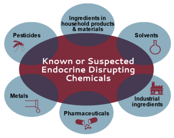 EndocrineDisruptors