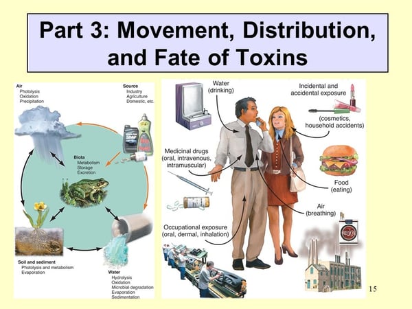 Environment-Endocrine-Health-Disruptors