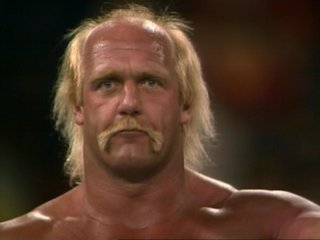 Hulk Hogan Hair Brother-3.9.18.jpg